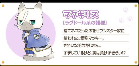 A card with the description of cat McGillis in Japanese, it roughly translated to:

McGillis 
[Ragdoll hybrid]

A stray cat brought to the Seven Stars

He was picked up and nicknamed Macky.

Proud of its beautiful fur.

He acts cool, but he's actually a loser!