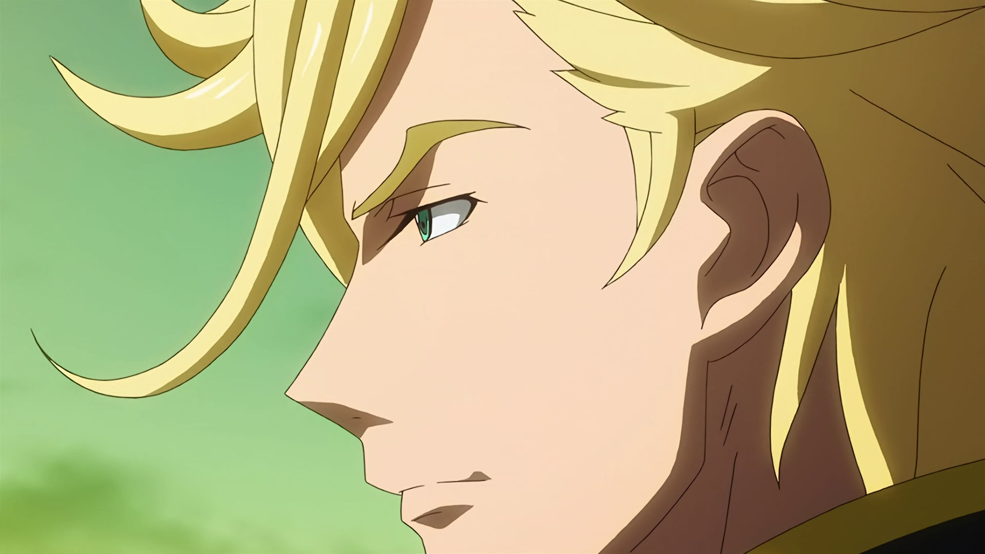 Side view of McGillis face
